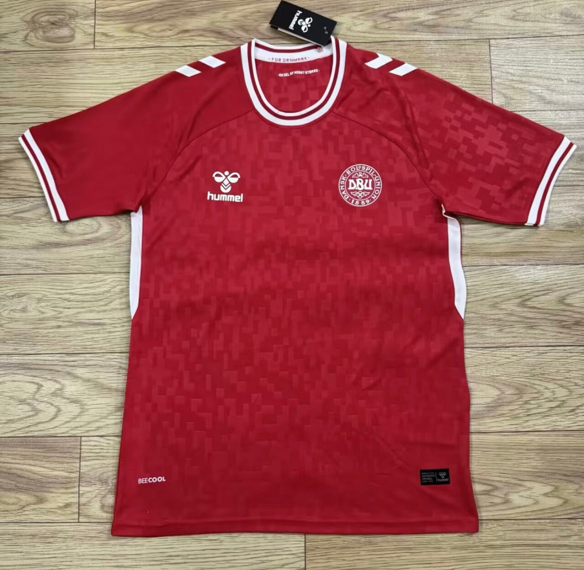 Denmark 2024 Home