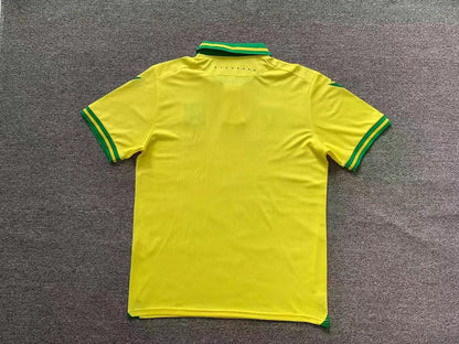 MAILLOT FC NANTES DOMICILE 2023/2024