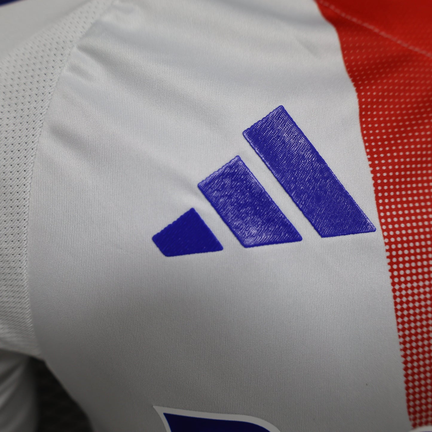 MAILLOT OLYMPIQUE LYONNAIS DOMICILE 2024/2025