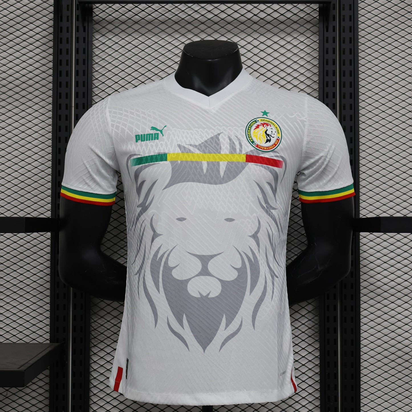 MAILLOT SENEGAL CONCEPT EDITION 2023/2024