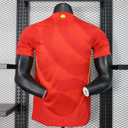 MAILLOT ESPAGNE DOMICILE 2024/2025