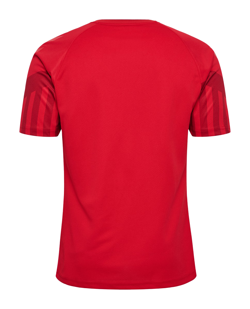 MAILLOT DANEMARK DOMICILE WORLD CUP 2022