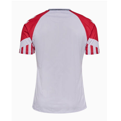 Maillot Danemark Extérieur 2023/2024